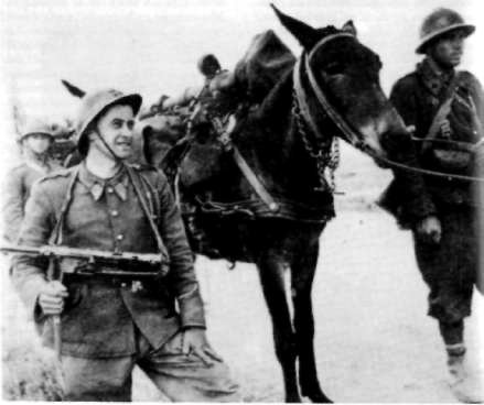 Front
tunisien, automne 1942 : Artillerie de montagne<BR>à dos
de mulet. Le soldat au premier plan est armé d'un
<BR>pistolet-mitrailleur allemand de récupération